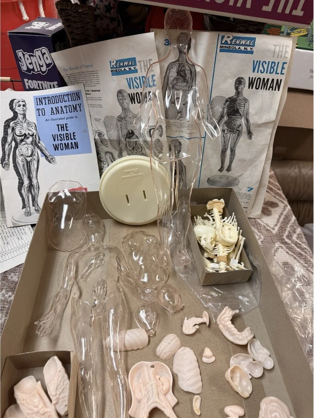 Vintage 1960 The Visible Woman Assembly Kit - #804 Made By Renwal New York USA